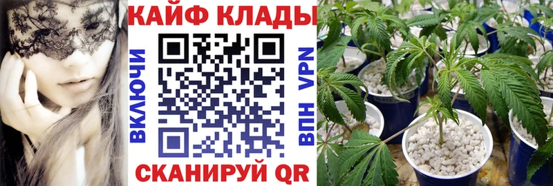 Где найти наркотики Берёзовский ГАШ  Конопля  APVP  Псилоцибиновые грибы  МЕФ 