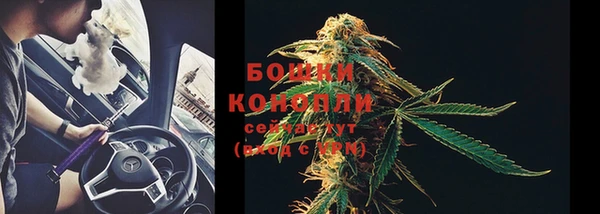 прущие крисы Красноперекопск